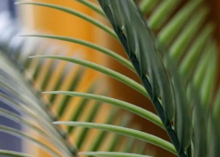 - Old Town - Chic - Jana Pawla 33 Apartman Wrocław